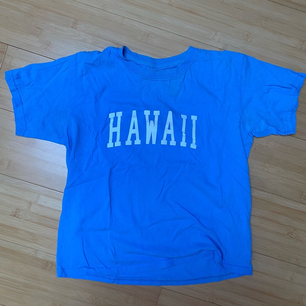 Hawaii Brandy Melville Blue Cropped Tee